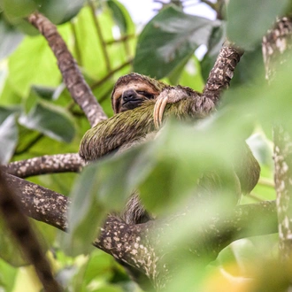 tourhub | Exodus Adventure Travels | Costa Rica Adventure Family Holiday 