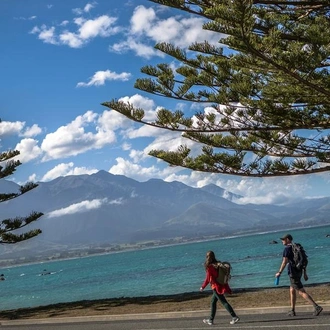 tourhub | G Adventures | New Zealand: South Island Encompassed 