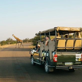 tourhub | Contiki | Southern Africa Safari | 2024 