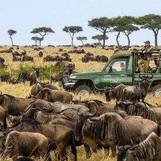 tourhub | Jossec Tours and Safaris | 6 DAYS AMBOSELI NATIONAL PARK, LAKE NAIVASHA  ATTRACTIONS, LAKE NAKURU NATIONAL PARK & MASAI MARA GAME RESERVE SAFARI 