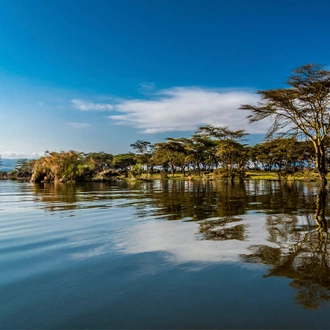 tourhub | G Adventures | Journeys: Legendary Wildlife of Rwanda & Kenya 