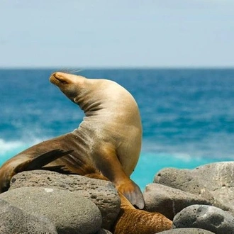 tourhub | BM Tours | Galapagos - Santa Cruz and Isabela. 6 Days Tours 