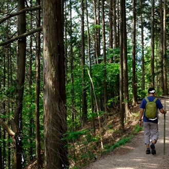 tourhub | The Natural Adventure | Walking the Kumano Kodo and Nakasendo Trails 