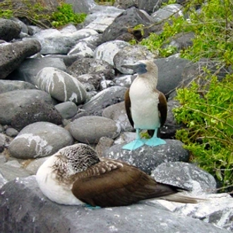 tourhub | Globus | Peru Splendors with Galápagos Cruise 