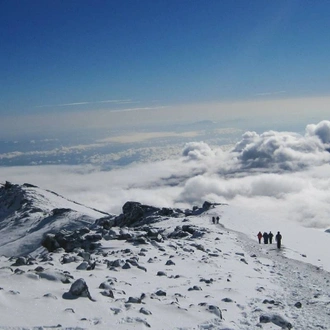 tourhub | Spider Tours And Safaris | 7 Days Kilimanjaro Climb Lemosho Route 