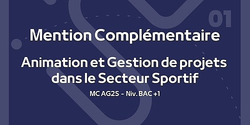 Représentation de la formation : MC Animation et Gestion de Projets dans le Secteur Sportif