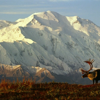 tourhub | Insight Vacations | Jewels of Alaska - Classic Group 