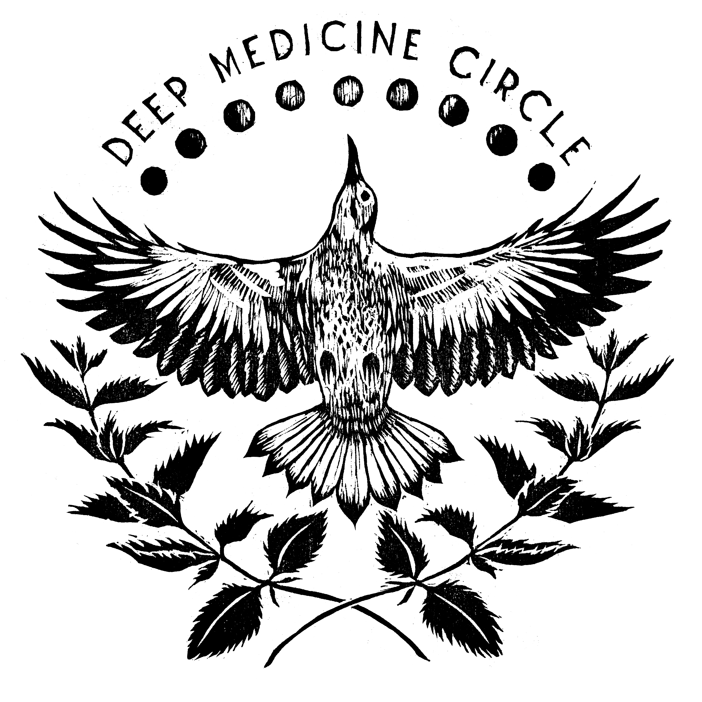 Deep Medicine Circle logo