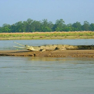 tourhub | Liberty Holidays | 3-Day Chitwan Jungle Safari Tour from Kathmandu 