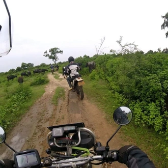 tourhub | Motor Trails | 20 Days Discover Sri Lanka Wild Life and Nature on Motorcycle 