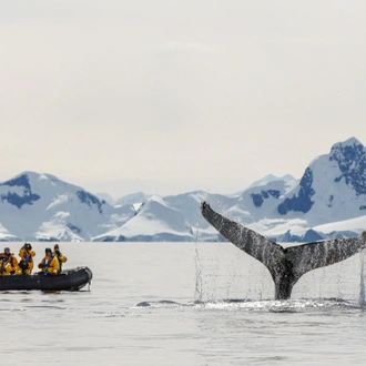 tourhub | Intrepid Travel | Falklands, South Georgia and Antarctica: Explorers and Kings 