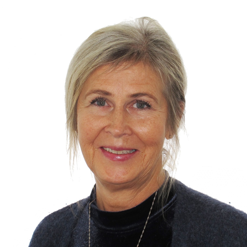 Eva Högdahl; Vd Almi Mitt