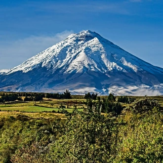 tourhub | Explore! | Ecuador - Andes to Amazon 