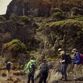 tourhub | Alaitol Safari | 10 Day Kilimanjaro Climb - Lemosho Route 