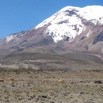 tourhub | Today Voyages | EN Xperience Ecuador FIT 