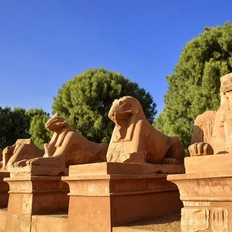 tourhub | Sun Pyramids Tours | 2 Days Tour to Cairo & Luxor from Marsa Alam by Flight 