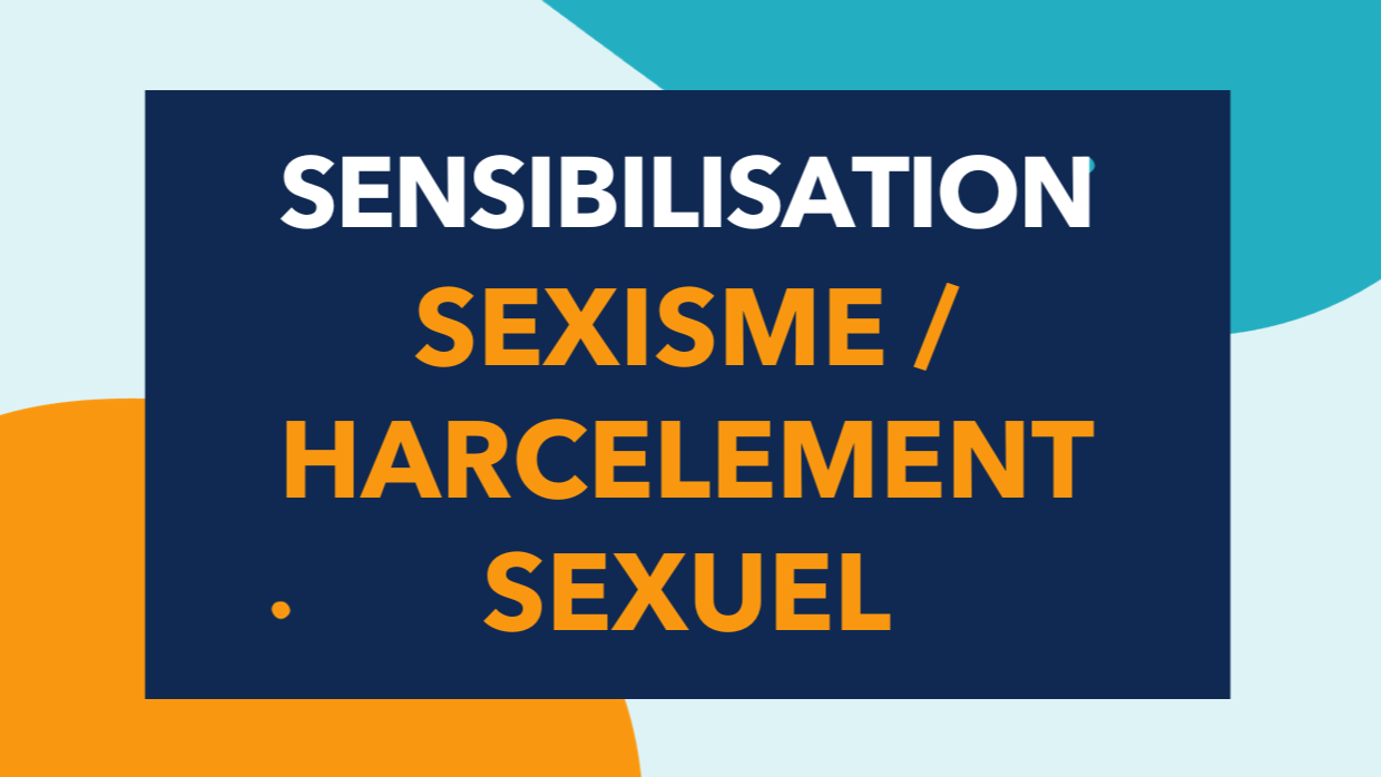 Représentation de la formation : Sensibiliser au risque de sexisme / harcèlement sexuel au travail 