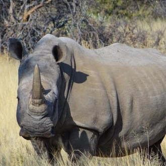 tourhub | Chameleon Safaris Namibia | 3 Day Etosha Budget Camping Safari 