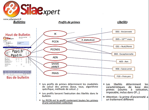 Représentation de la formation : LANGAGE SILAE - TECHNIQUE PARAMETRAGE (INTRA - ENTREPRISE)