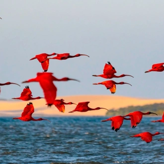 tourhub | Etours Brazil | Route of Emotions - Rota das Emoções 