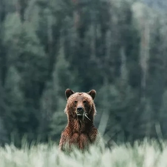 tourhub | Costsaver | Wonders of the Canadian Rockies 