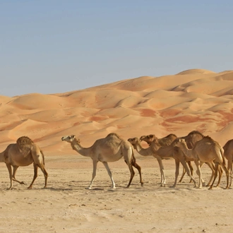 tourhub | Wild Frontiers | Oman Desert Adventure: Wahiba Sands & Empty Quarter with Mark Evans 