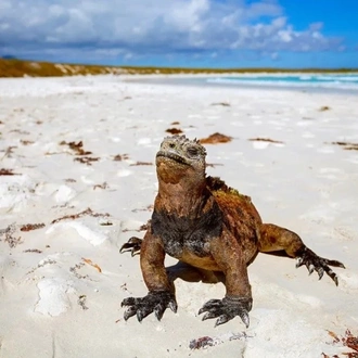 tourhub | Ecuador Galapagos Travels | 5 Days Galapagos Wildlife Discovery (2 Uninhabited Islands) 