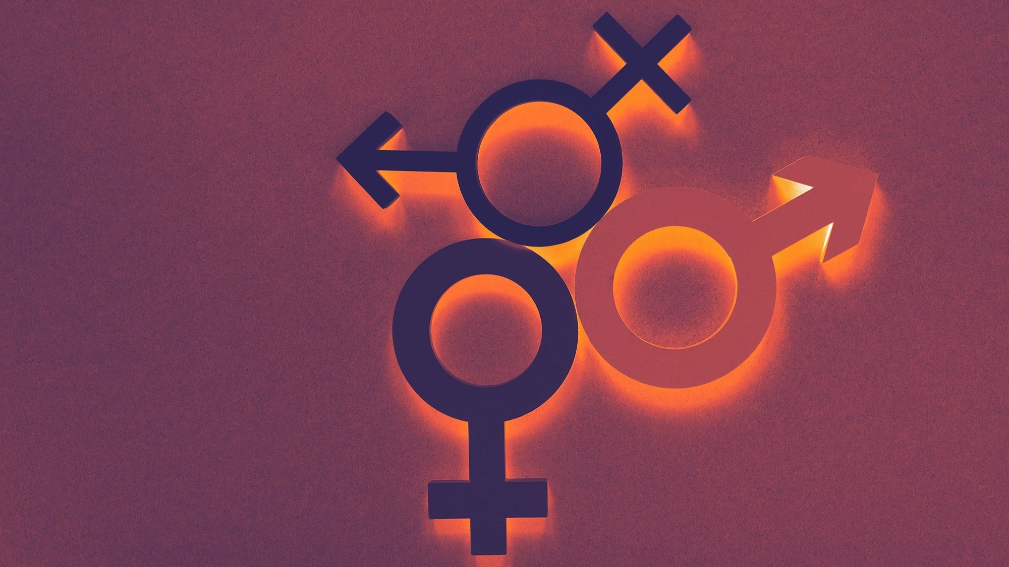 Représentation de la formation : Santé sexuelle : Stéréotype, genre et transidentité 