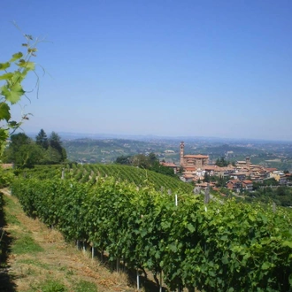 tourhub | Exodus Adventure Travels | Gastronomic Barolo Walk 