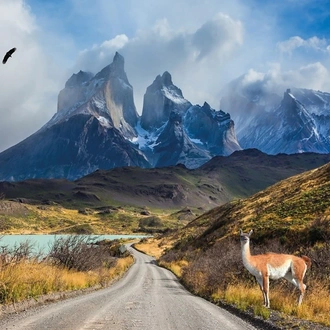 tourhub | Insight Vacations | Best of Chile from Atacama to Patagonia - Small Group 