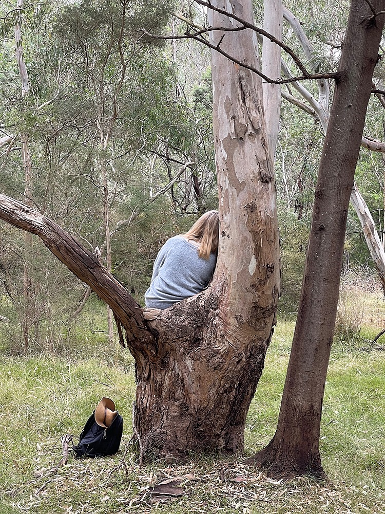 Person resting in a tree