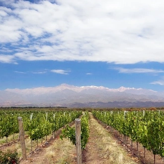 tourhub | Signature DMC | 3-Days Getaway for Wine lovers - Mendoza Experience! 