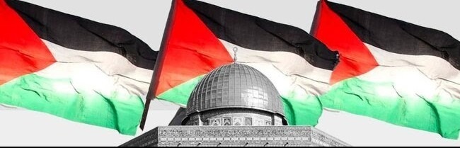 Nov 4 Boston to DC for Gaza | Greater Boston Together, Inc (Powered by ...