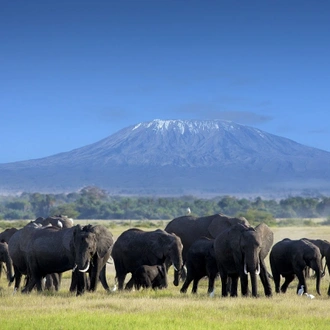 tourhub | ARP Travel Group | Scenic Kenya Safari, Private Tour 