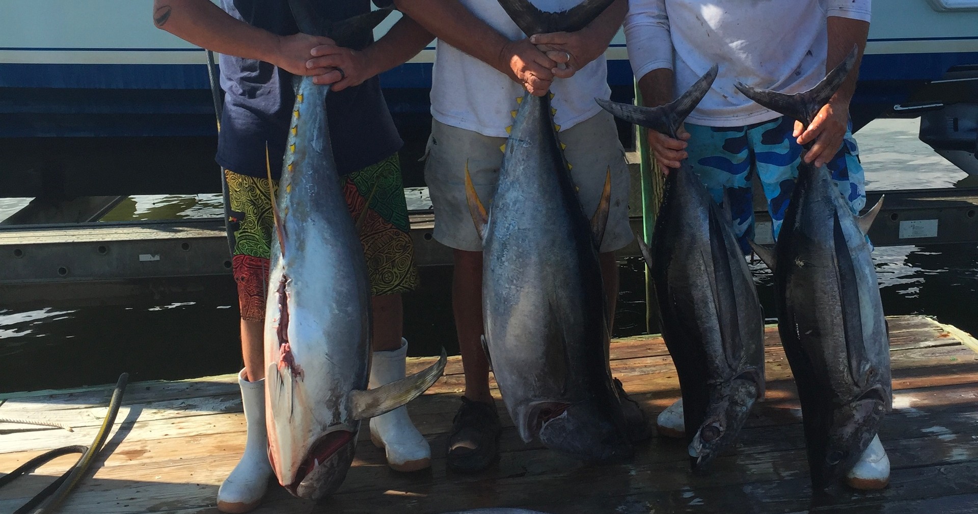 12-14 Hour Canyon Day Troll - Tuna And Mahi