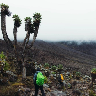 tourhub | Horizon Seeker Adventure | 7 days Kilimanjaro Climbing Machame route 