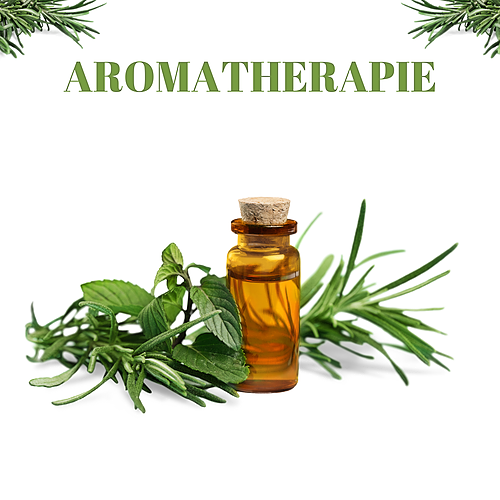 Représentation de la formation : AROMATHERAPIE ET TROUBLES DIGESTIFS