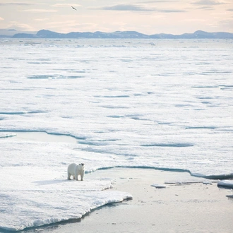 tourhub | Intrepid Travel | Adventures in Northeast Greenland: Glaciers, Fjords and the Northern Lights 