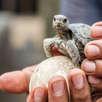 tourhub | Ecuador Galapagos Travels | 7 Days Galapagos Expedition: San Cristobal & Santa Cruz Island 