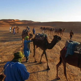 tourhub | Julia Travel | 8-Days Tour Across Morocco 