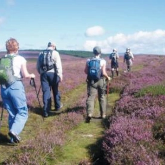 tourhub | Walkers' Britain | The Wicklow Way - 9 Days 