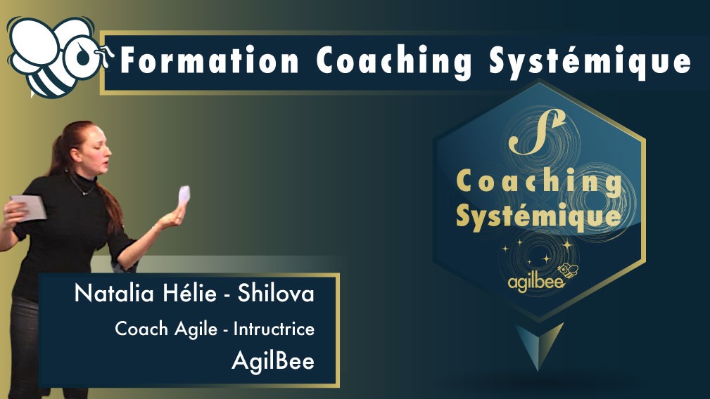 Représentation de la formation : Coaching Systémique