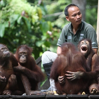 tourhub | SpiceRoads Cycling | Untamed Borneo 