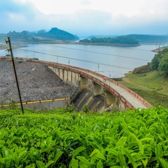 tourhub | Agora Voyages | Kerala Tea Estate, Backwater & Kovalam Beach Tour 