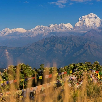 tourhub | Bold Himalaya Treks & Travels | Ghorepani Poonhill Trek 