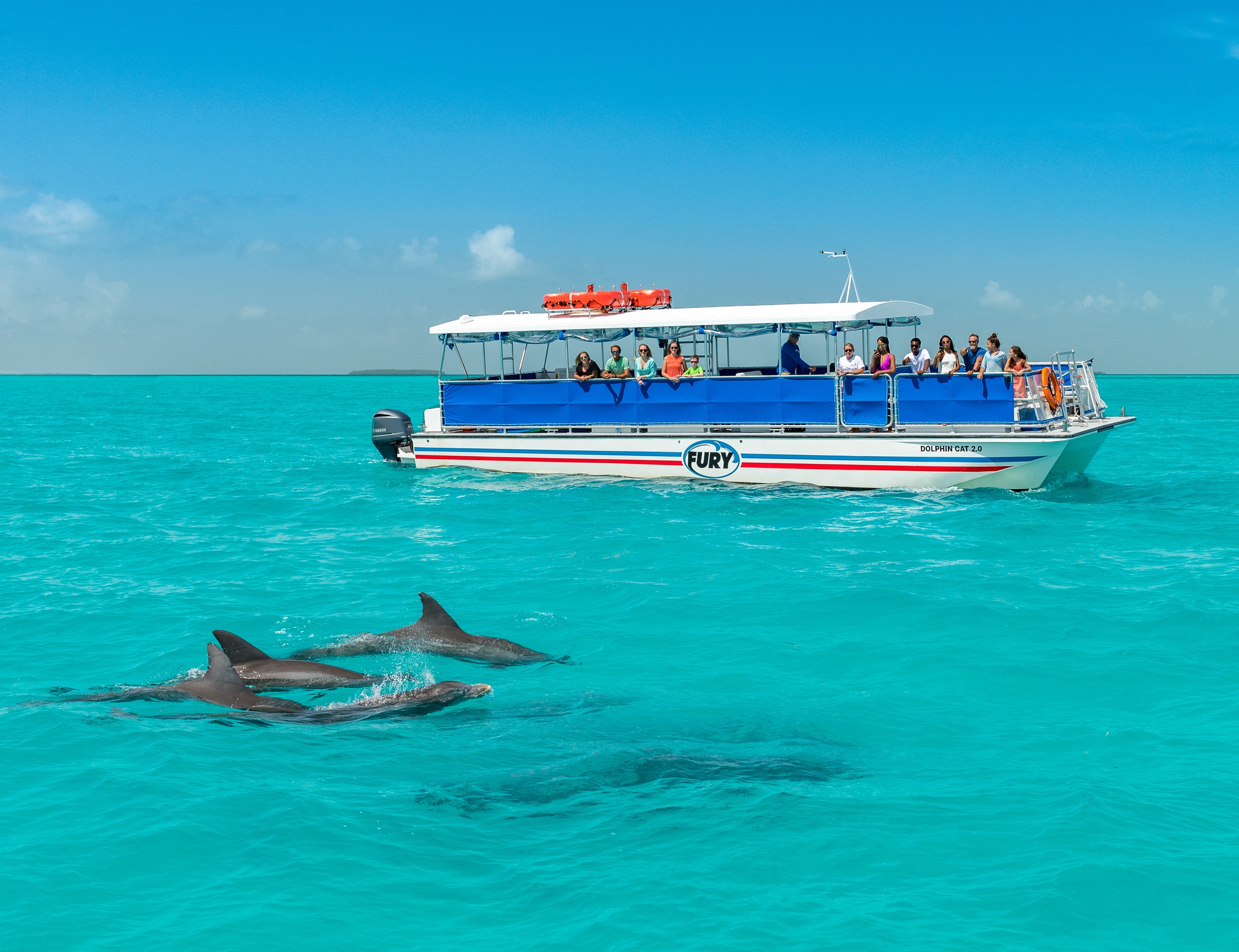 from-key-west-dolphin-spotting-snorkel-boat-tour