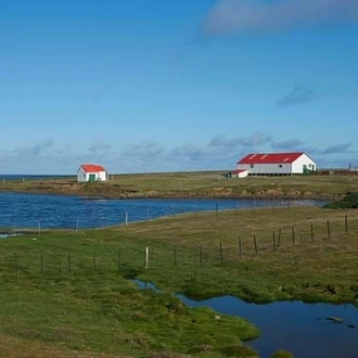 tourhub | Brightwater Holidays | Chile & Falkland Islands 6704 