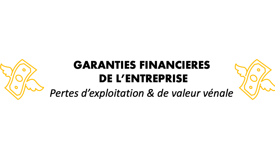 Représentation de la formation : Garanties financières des entreprises