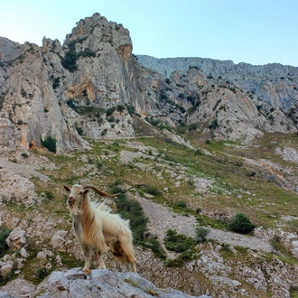 tourhub | Exodus Adventure Travels | Walking the Picos de Europa 