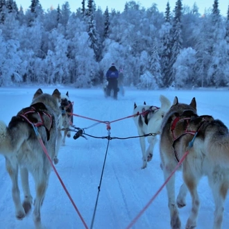 tourhub | Indus Travels | Rovaniemi Winter Experience 